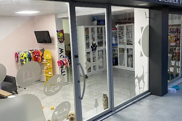 VETALİA VETERİNER KLİNİĞİ - Resim 7