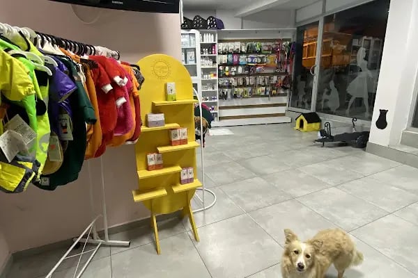 VETALİA VETERİNER KLİNİĞİ - Resim 4