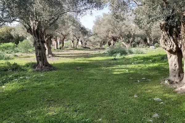 İasos Antik Kenti - Resim 13