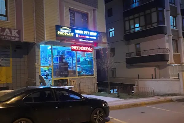 Neon Pet Shop - Resim 3