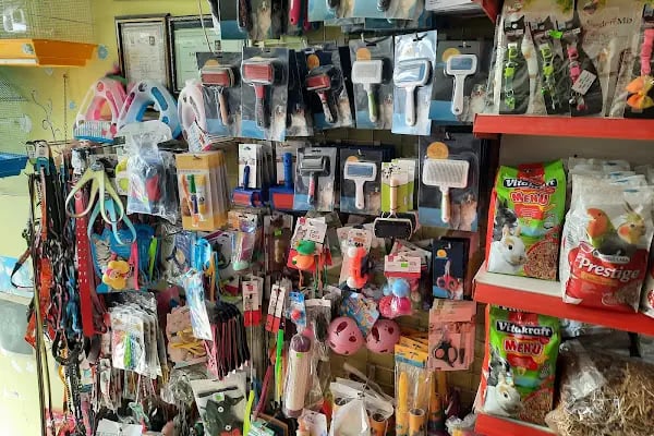 Neon Pet Shop - Resim 4