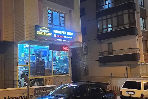 Neon Pet Shop - Resim 5
