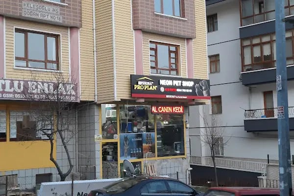 Neon Pet Shop - Resim 1
