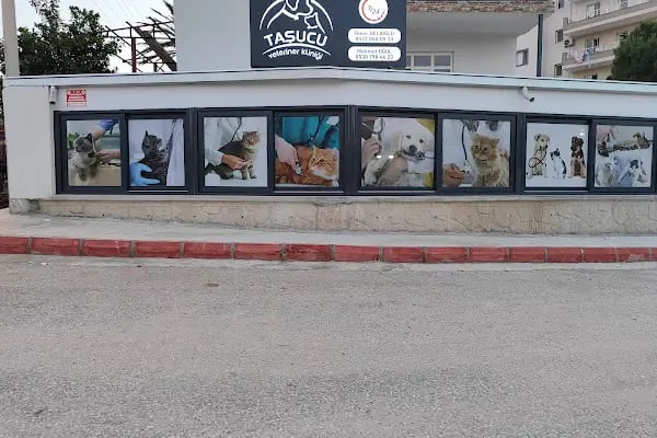 Taşucu Veteriner Kliniği - Resim 2