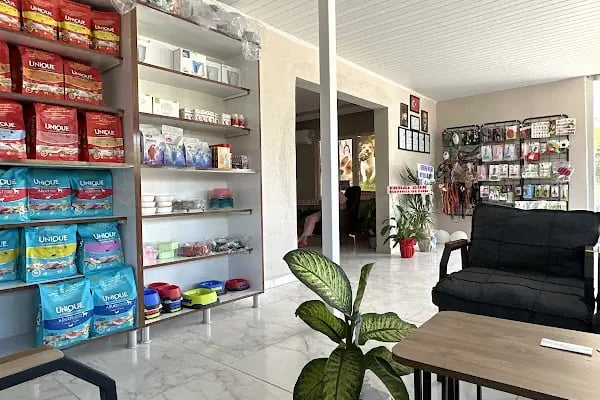 Taşucu Veteriner Kliniği - Resim 3