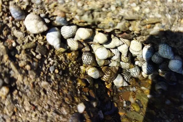 Tyana Beach - Resim 15