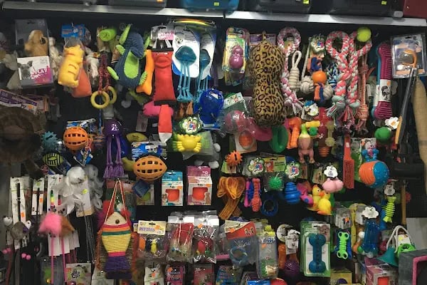 TUNALI PETSHOP ANKARA Kürşat Keskin - Resim 7