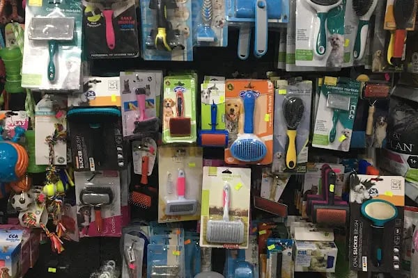 TUNALI PETSHOP ANKARA Kürşat Keskin - Resim 11