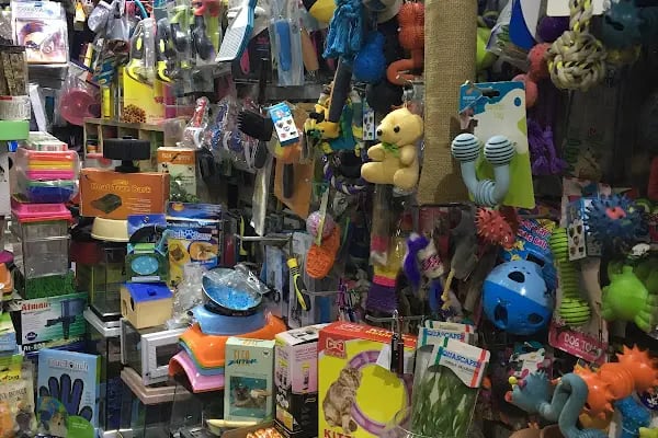 TUNALI PETSHOP ANKARA Kürşat Keskin - Resim 16