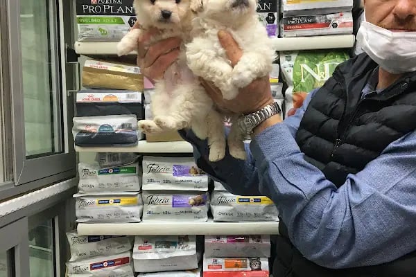 TUNALI PETSHOP ANKARA Kürşat Keskin - Resim 13