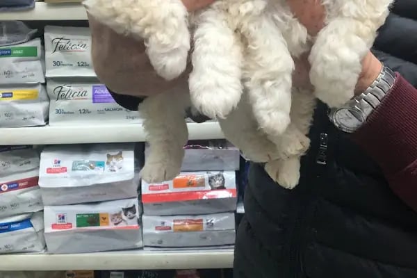 TUNALI PETSHOP ANKARA Kürşat Keskin - Resim 4