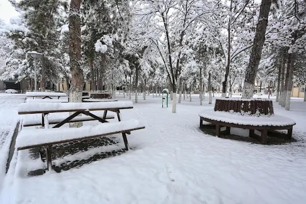 Ankara Üniversitesi - Resim 14