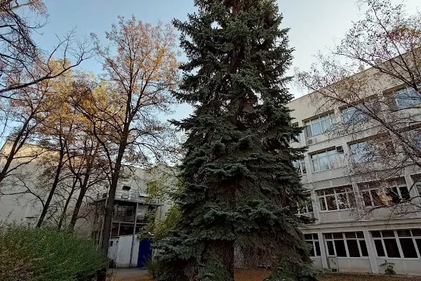 Ankara Üniversitesi - Resim 18