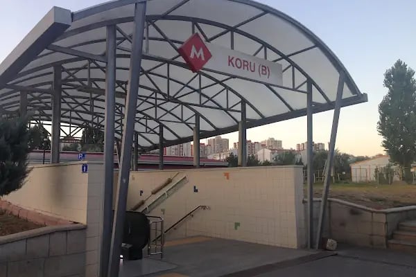 Koru - Resim 3