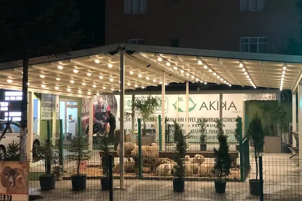 Şehir Çobanı Online Kurban - Resim 2