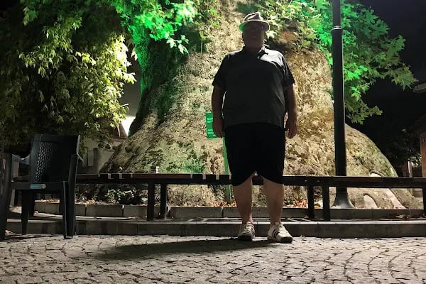 Şehir Çobanı Online Kurban - Resim 3