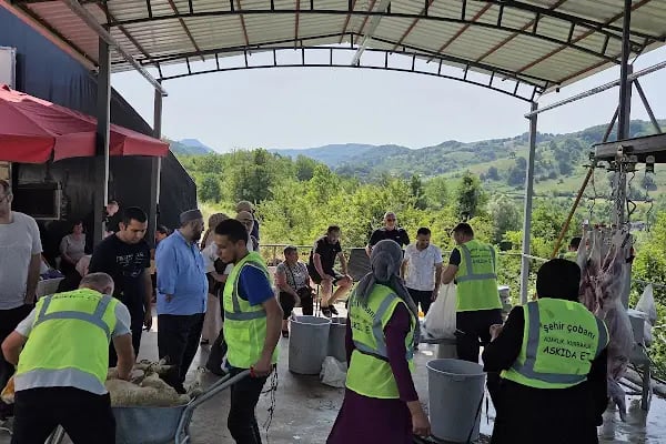 Şehir Çobanı Online Kurban - Resim 6
