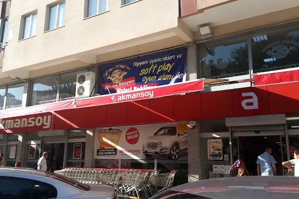 Akmansoy Necip Fazıl - Resim 7