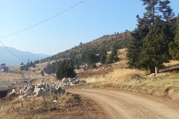 Yalıhüyük Belediyesi Düğün Salonu - Resim 8