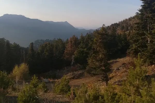 Yalıhüyük Belediyesi Düğün Salonu - Resim 2