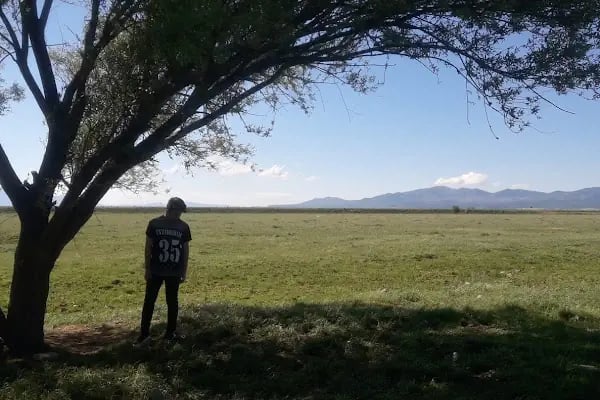 Yalıhüyük Belediyesi Düğün Salonu - Resim 5