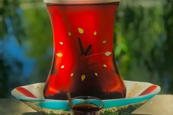 USTAOĞLU ÇİFTLİĞİ - Resim 7