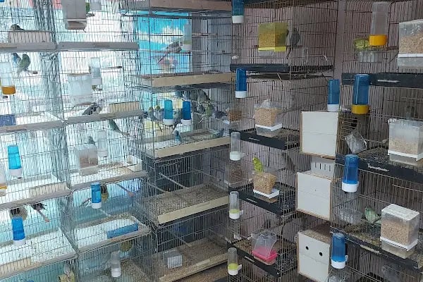 Su Batu Minik Canlar Pet Shop - Resim 3