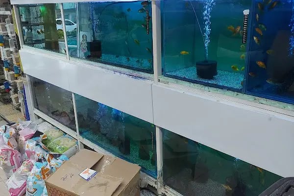 Su Batu Minik Canlar Pet Shop - Resim 5