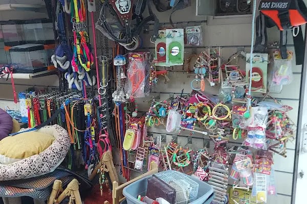 Su Batu Minik Canlar Pet Shop - Resim 6