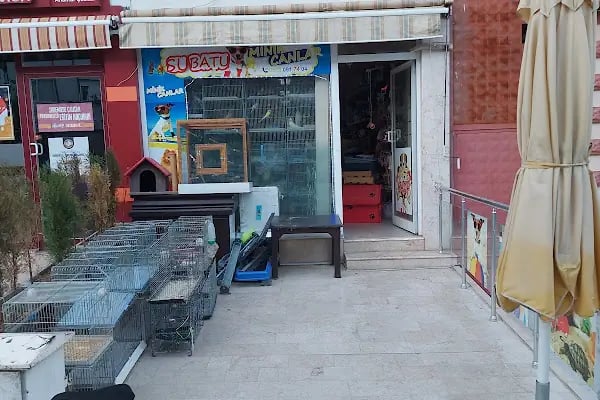 Su Batu Minik Canlar Pet Shop - Resim 2