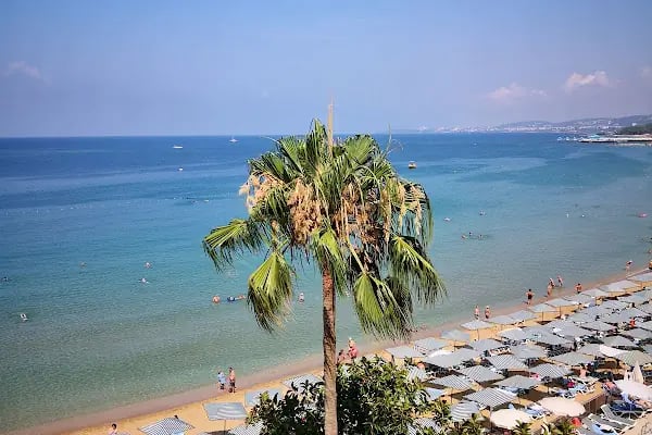 Aska Just In Beach - Resim 18