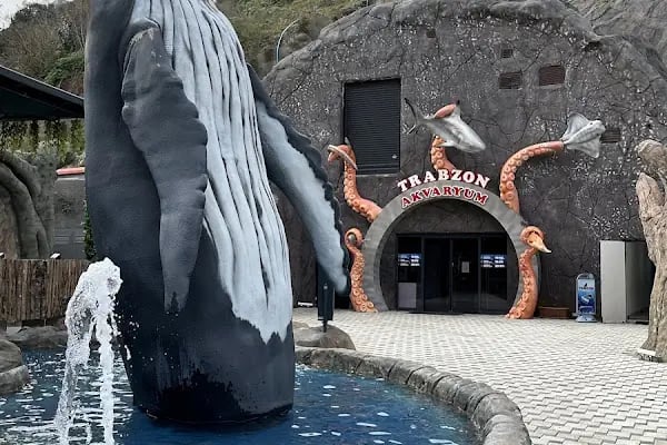 Trabzon Akvaryum - Resim 19