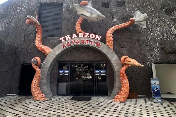 Trabzon Akvaryum - Resim 6