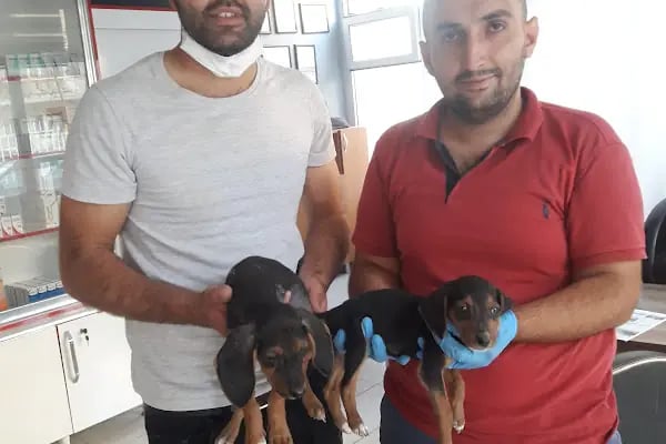 Vural Veteriner Kliniği - Resim 6