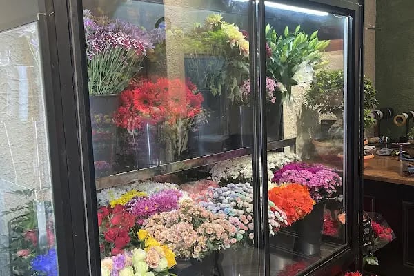 Bloom Flower - Çiçek Tasarımı - Resim 3
