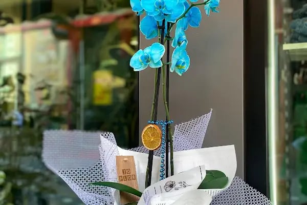 Bloom Flower - Çiçek Tasarımı - Resim 20