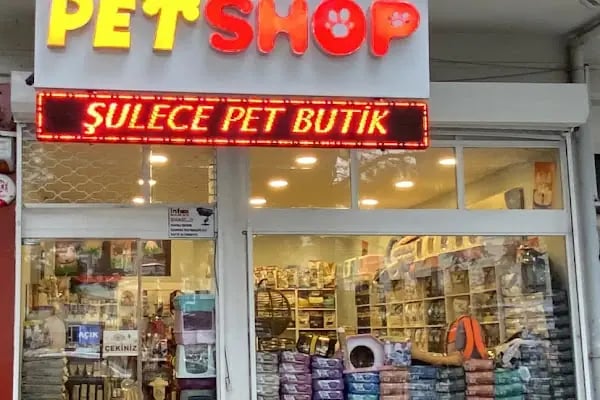 Şulece Pet Shop - Resim 20