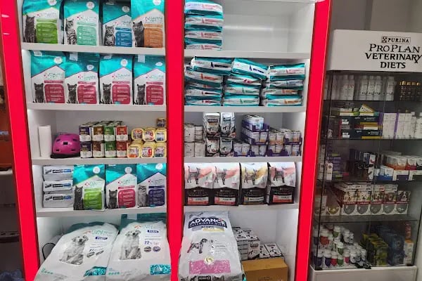 Bodrum Veteriner - New Life Veteriner Kliniği - Resim 12