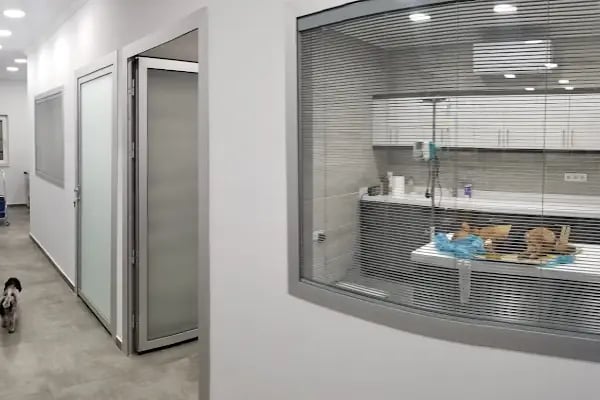 Bodrum Veteriner - New Life Veteriner Kliniği - Resim 8
