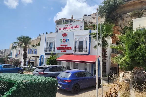 Bodrum Veteriner - New Life Veteriner Kliniği - Resim 11