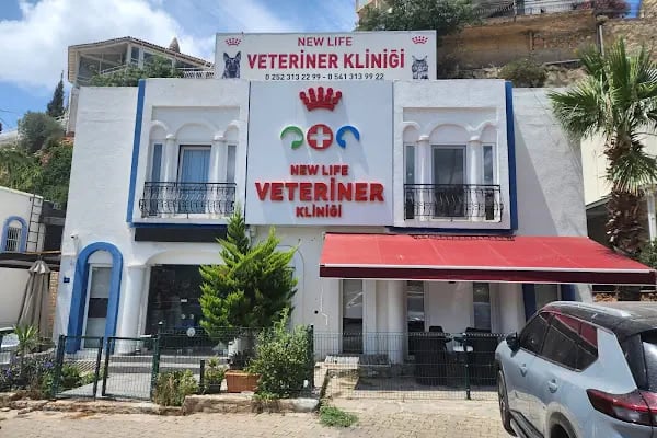 Bodrum Veteriner - New Life Veteriner Kliniği - Resim 6