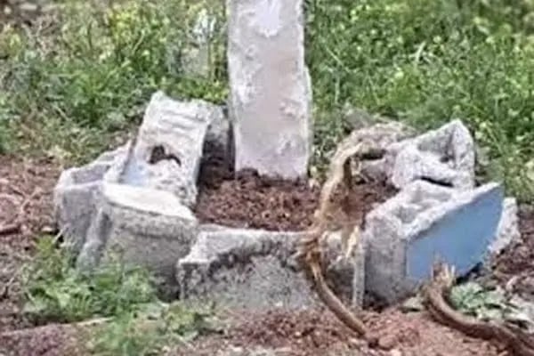 Aşk Veteriner Kliniği - Resim 11