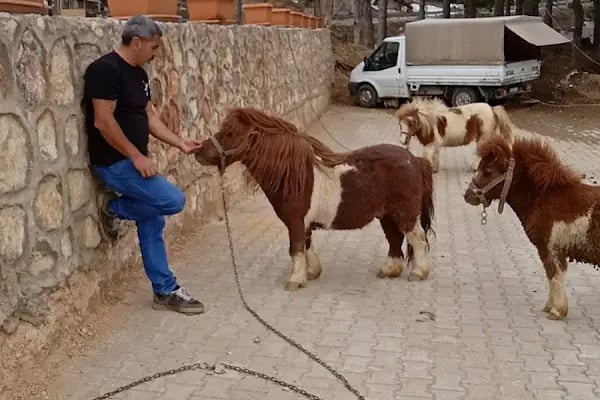 Uludağ Şampiyon Kayak Kiralama - Resim 13
