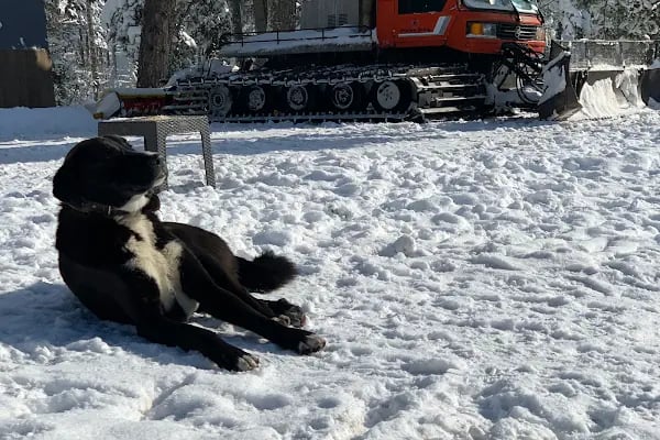 Uludağ Şampiyon Kayak Kiralama - Resim 17