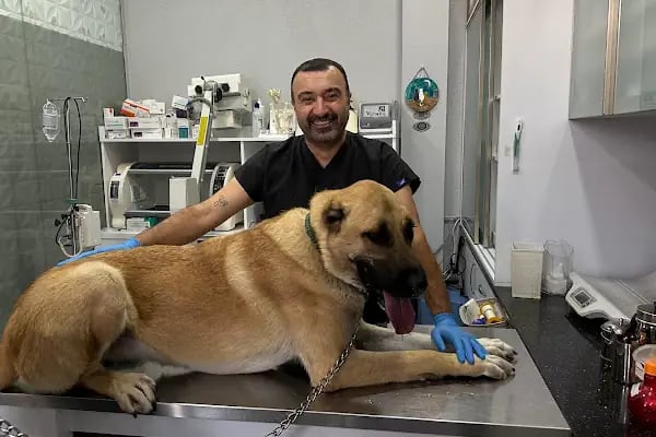 Ataşehir Vet-Point Veteriner Kliniği - Resim 19