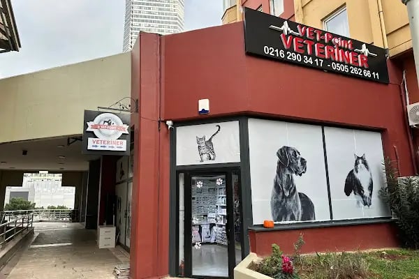 Ataşehir Vet-Point Veteriner Kliniği - Resim 4