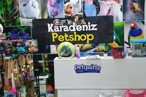 Karadeniz Petshop Kocaeli - Resim 2