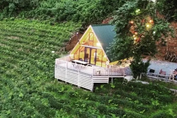 Okobale Dağ Evi - Resim 5