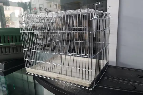 Yüce Petshop - Resim 3