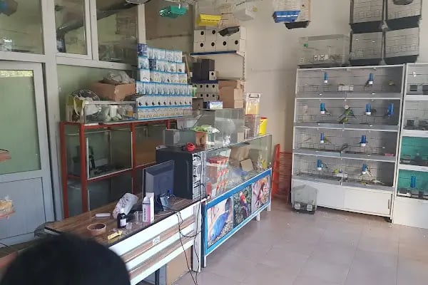 Yüce Petshop - Resim 13